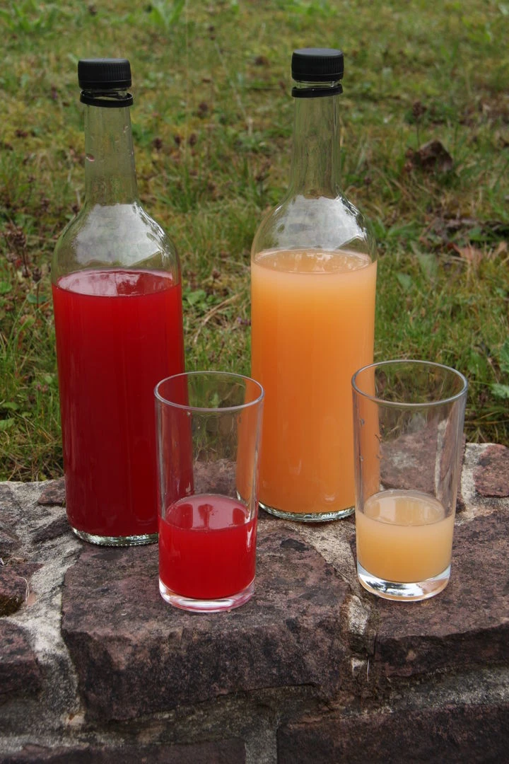 Rosette® Malus Domestica – Bild 3