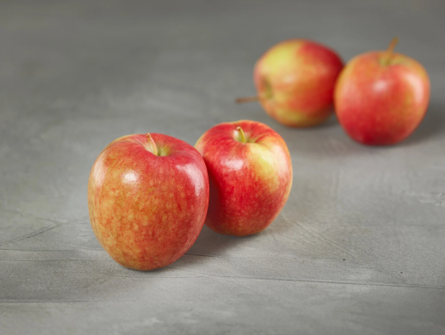 Rewena ® Malus Domestica – Bild 2