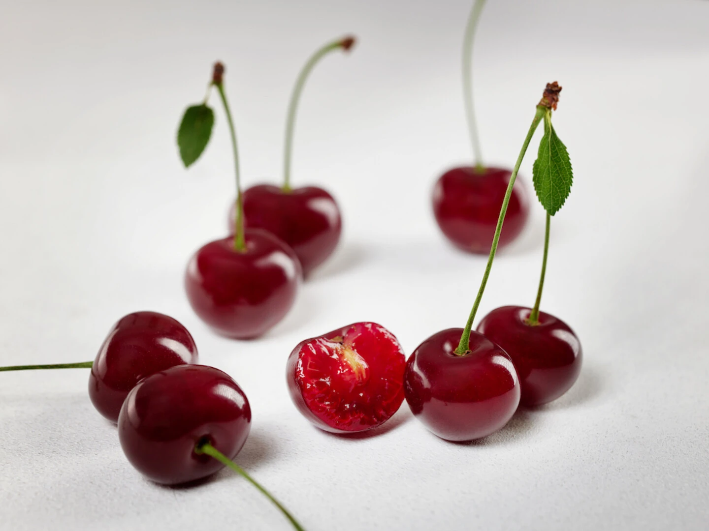 Achat Ⓢ Prunus Cerasus `Achat´ – Bild 6